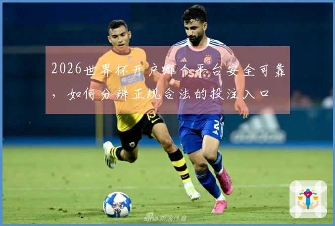 2026世界杯开户哪个平台安全可靠,如何分辨正规合法的投注入口