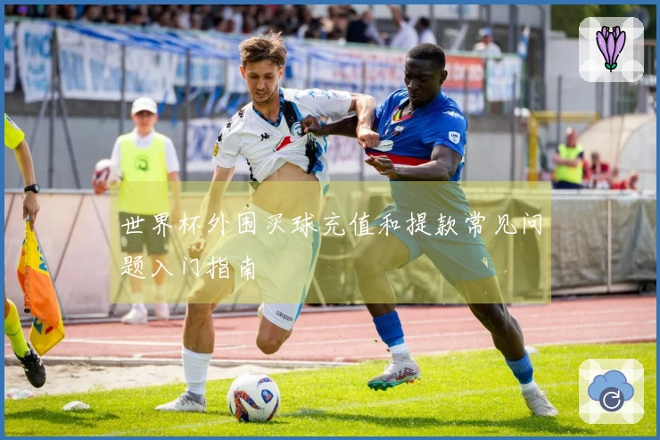 世界杯外围买球充值和提款常见问题入门指南