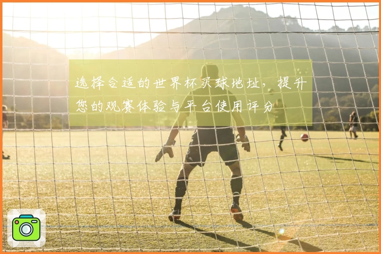 选择合适的世界杯买球地址，提升您的观赛体验与平台使用评分