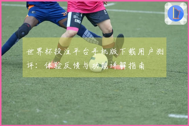 世界杯投注平台手机版下载用户测评：体验反馈与功能详解指南