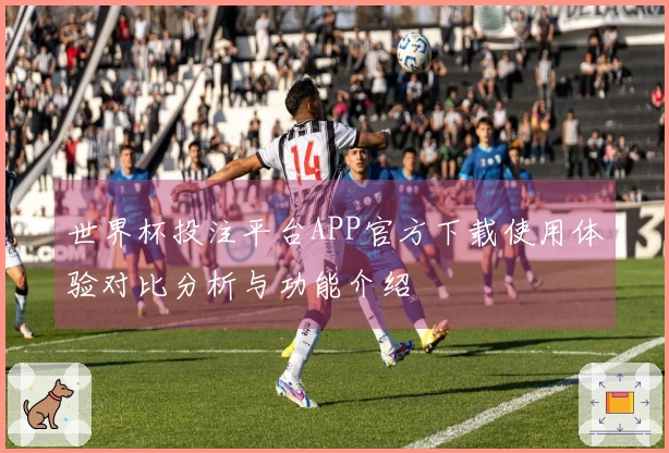 世界杯投注平台APP官方下载使用体验对比分析与功能介绍
