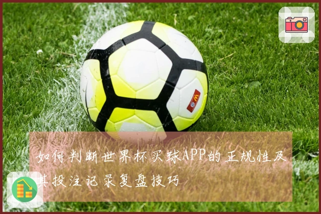 如何判断世界杯买球APP的正规性及其投注记录复盘技巧