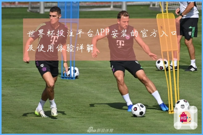 世界杯投注平台APP安装的官方入口及使用体验详解