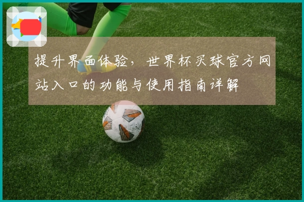 提升界面体验，世界杯买球官方网站入口的功能与使用指南详解