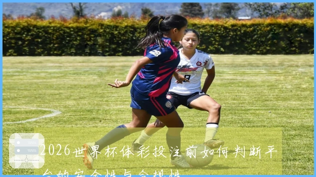 2026世界杯体彩投注前如何判断平台的安全性与合规性