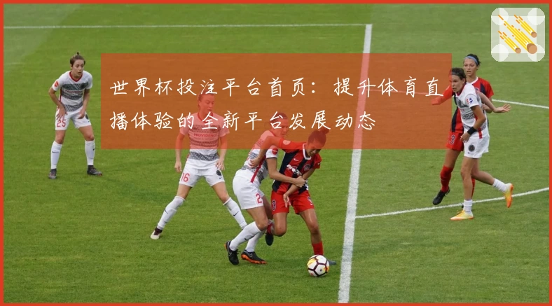 世界杯投注平台首页：提升体育直播体验的全新平台发展动态