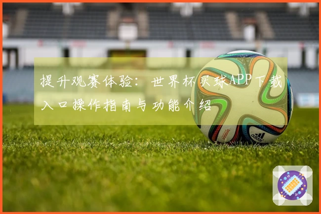 提升观赛体验：世界杯买球APP下载入口操作指南与功能介绍